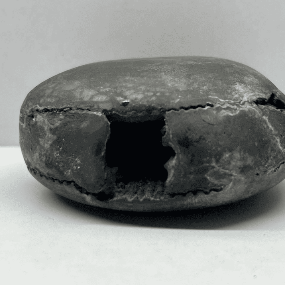 Laxmi Damodar Shaligram LN93(3inch/180gm)