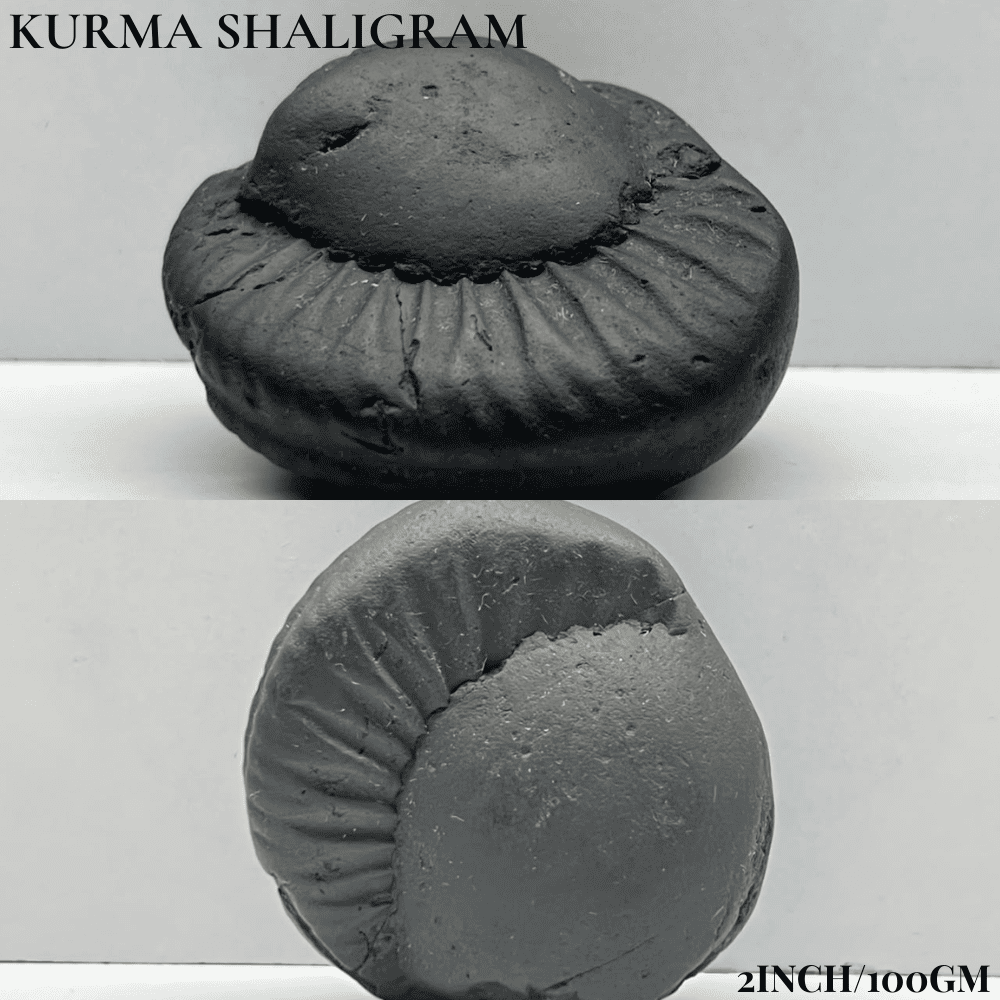 Dashavatar Shaligram Set-Small Size