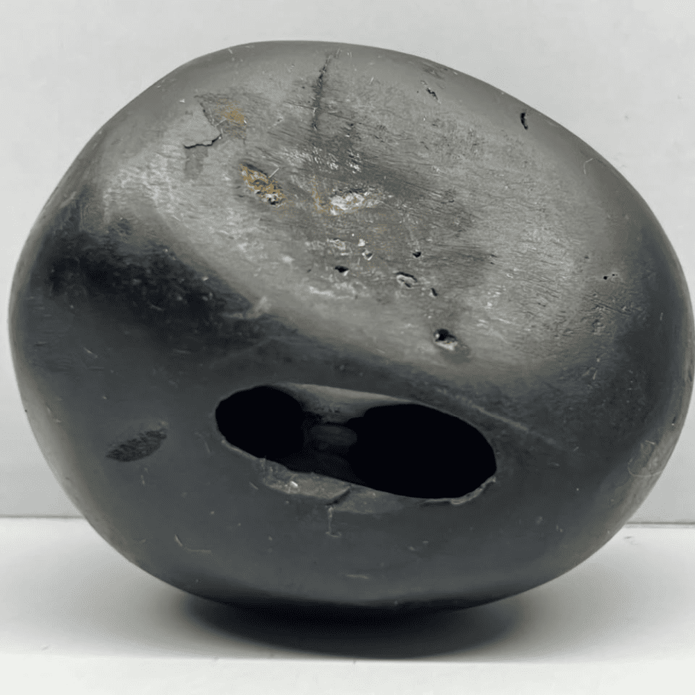 M12 Vaikuntha Janardana Shaligram (2.5inch/215gm)
