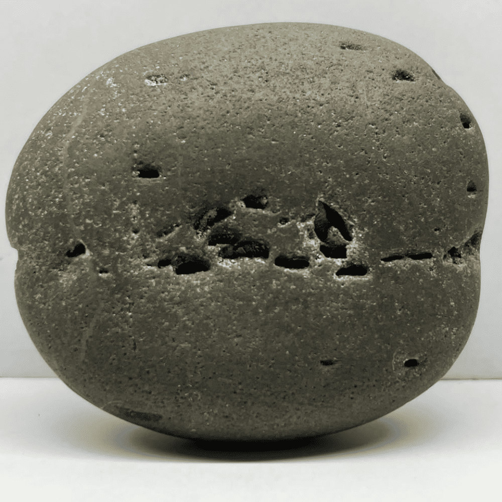Janeudhaari Ananta Shaligram AN02(400gm/4inch)