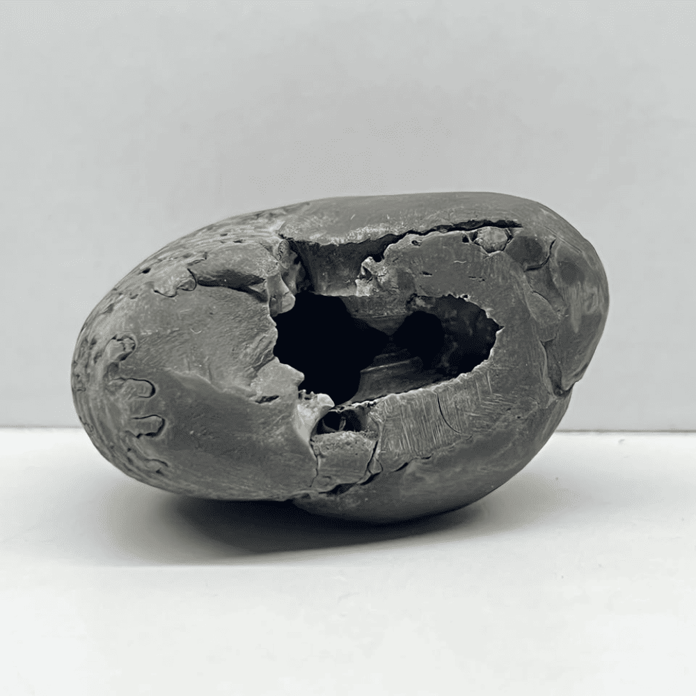 Kurma Laxmi Shaligram LN118(2.5inch/125gm)
