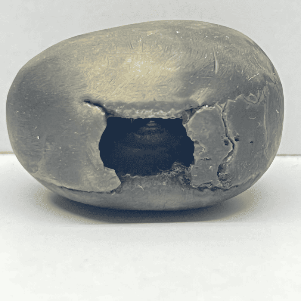 Laxmi Narsimha Shaligram (LN83-2INCH/60GM)