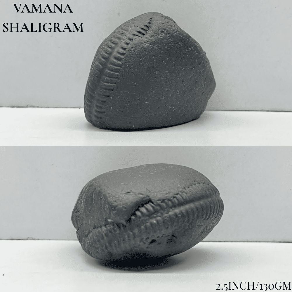 Dashavatar Shaligram Set-Medium Size