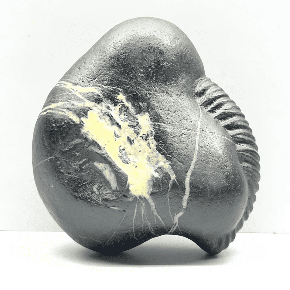 Ganesh Shaligram- G11(4inch/420gm)