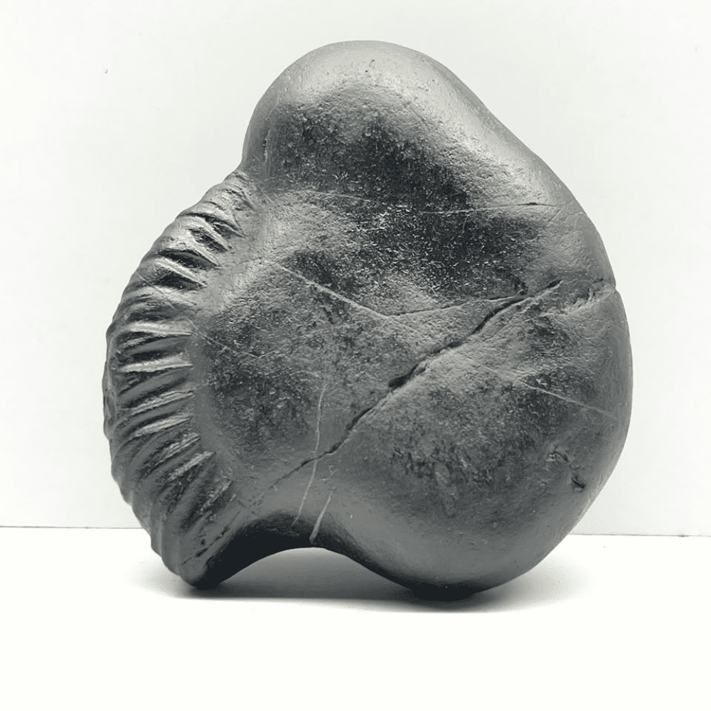 Ganesh Shaligram- G11(4inch/420gm)
