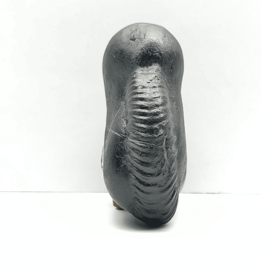 Ganesh Shaligram- G11(4inch/420gm)