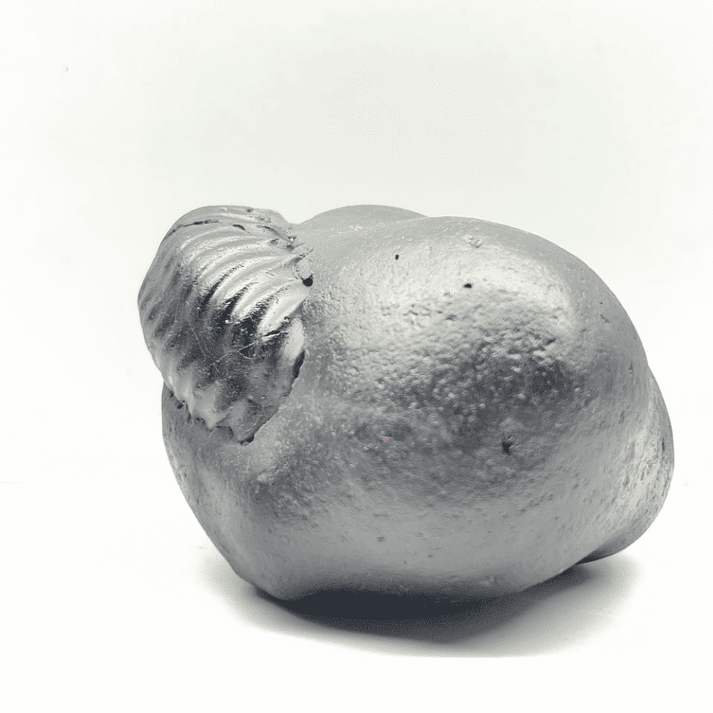Ganesh Shaligram- G12(5inch/590gm)