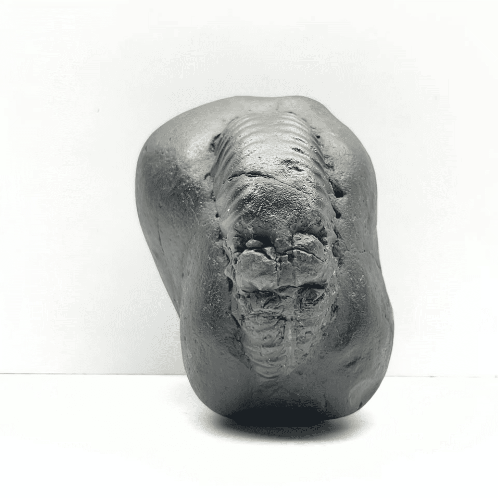 Ganesh Shaligram- G12(5inch/590gm)