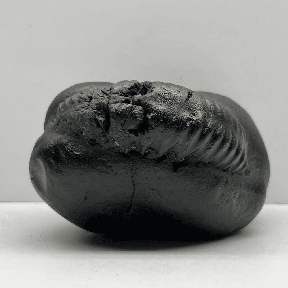 Ganesh Shaligram- G12(5inch/590gm)