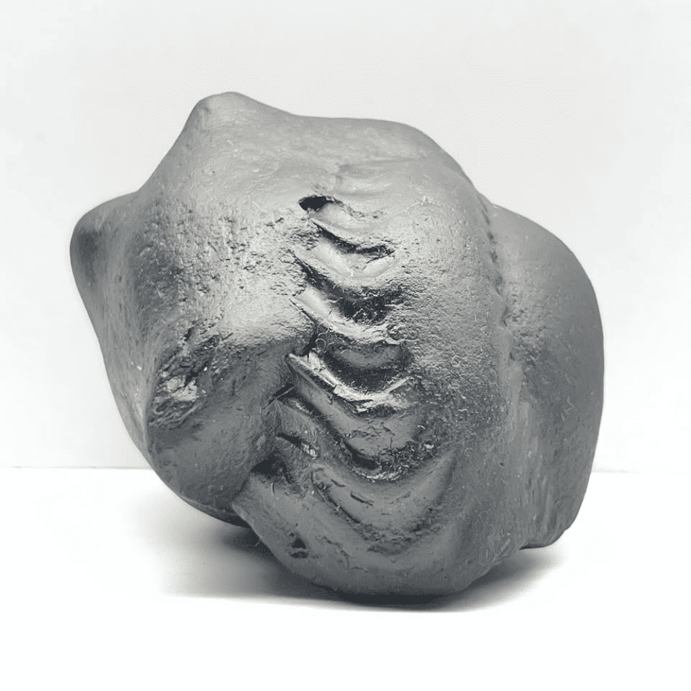 Ganesh Shaligram- G14(3inch/240gm)