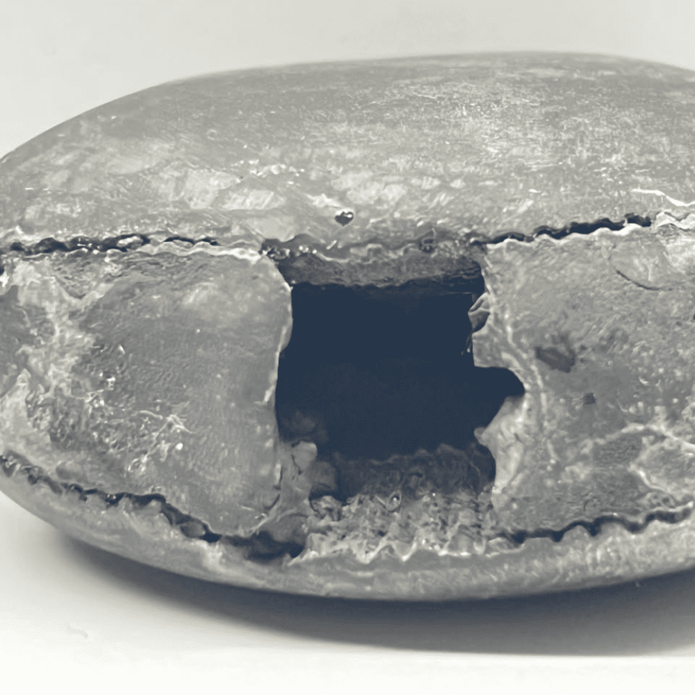Laxmi Damodar Shaligram LN93(3inch/180gm)