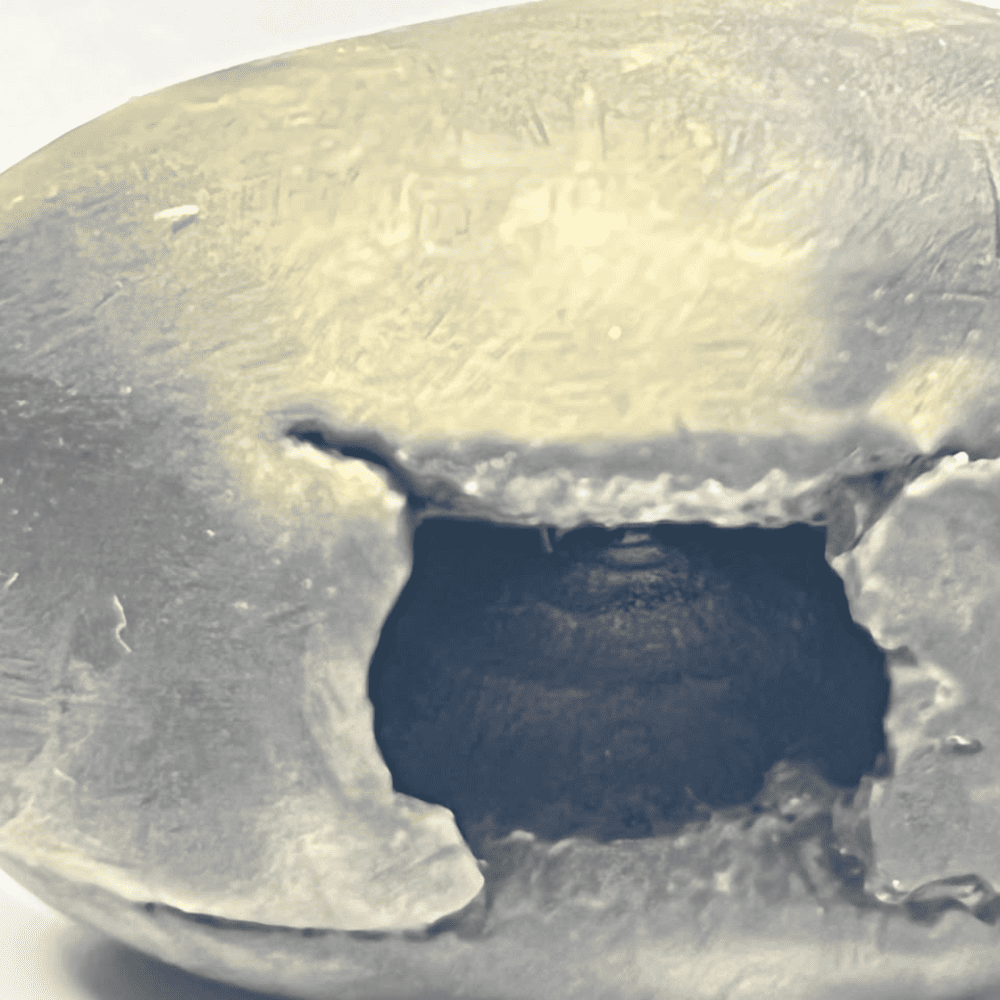 Laxmi Narsimha Shaligram (LN83-2INCH/60GM)