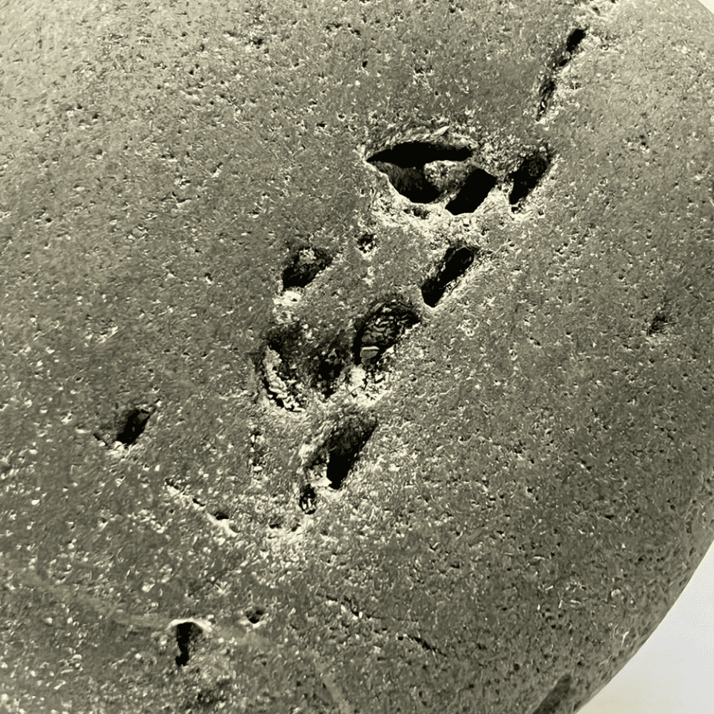 Janeudhaari Ananta Shaligram AN02(400gm/4inch)
