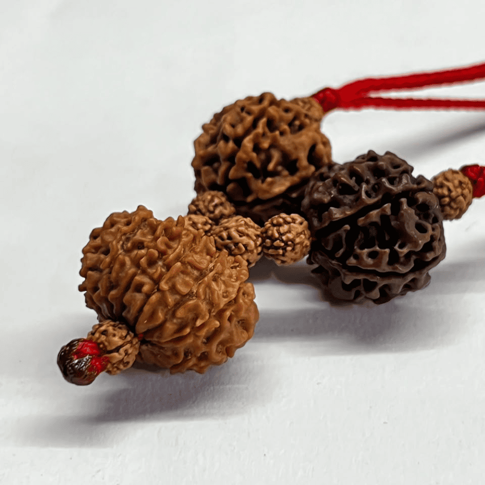 Wealth Creation Kavach (6+6+13 Mukhi Rudraksha)