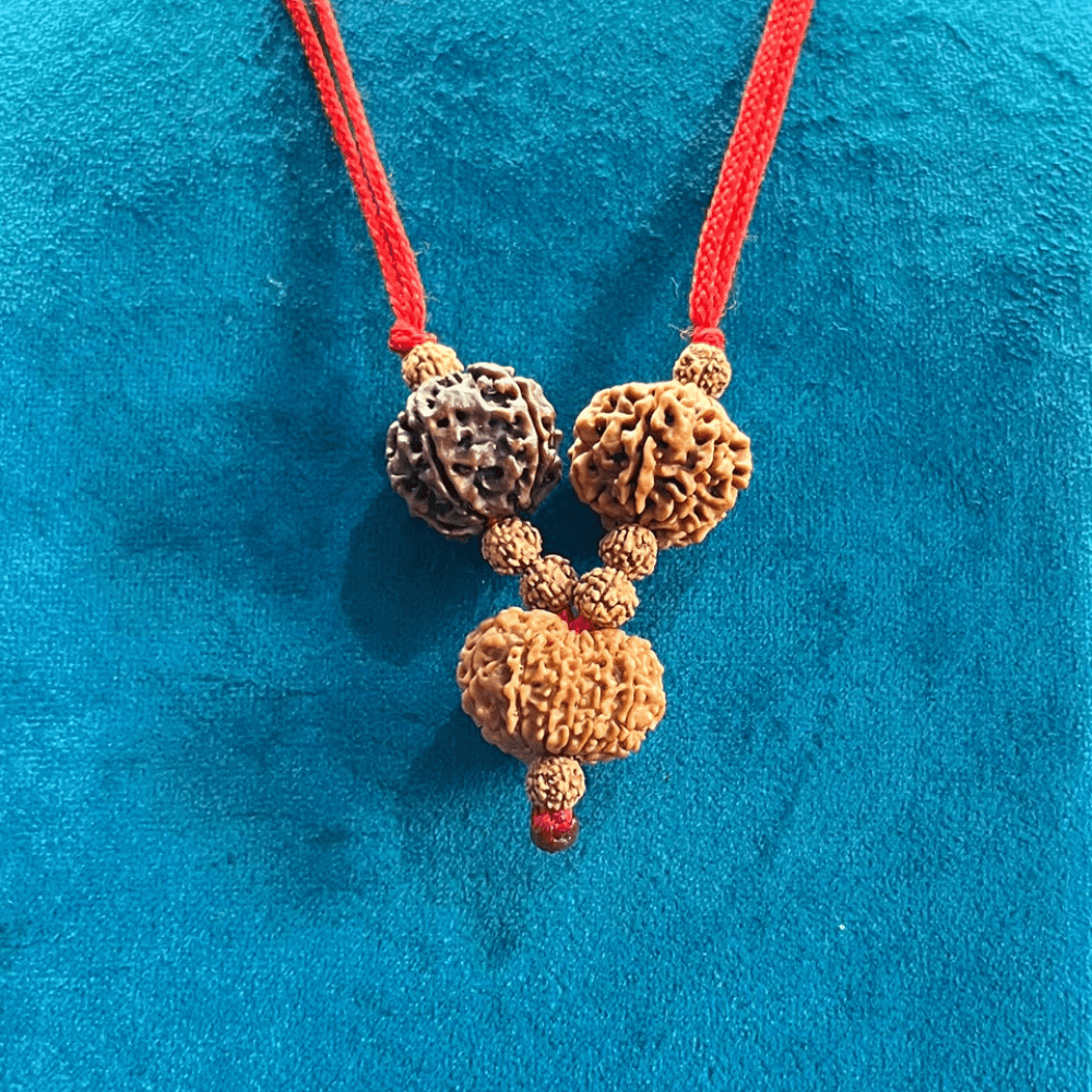 Wealth Creation Kavach (6+6+13 Mukhi Rudraksha)