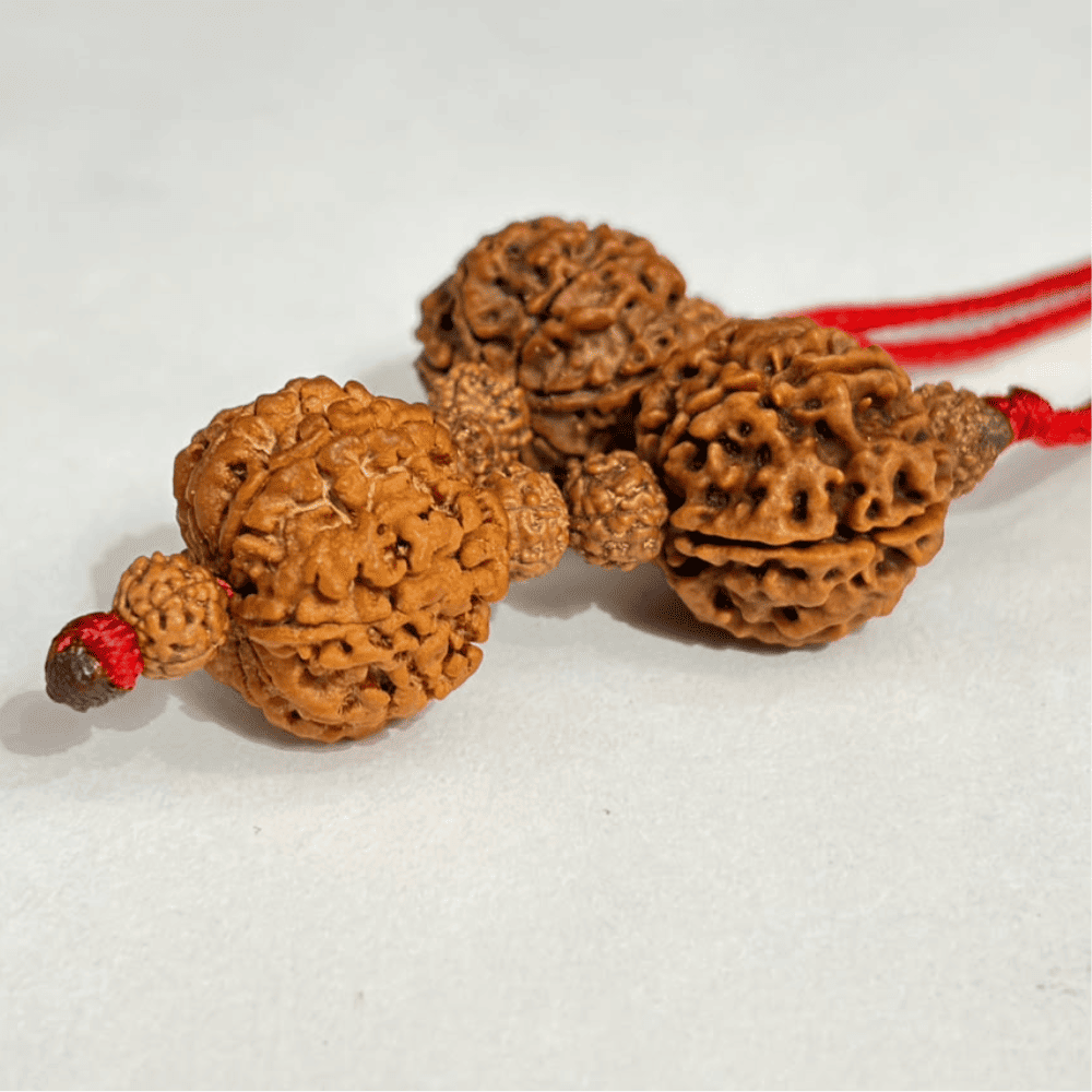 Diabetes Relief Kavach (6+7+8 Mukhi Rudraksha)