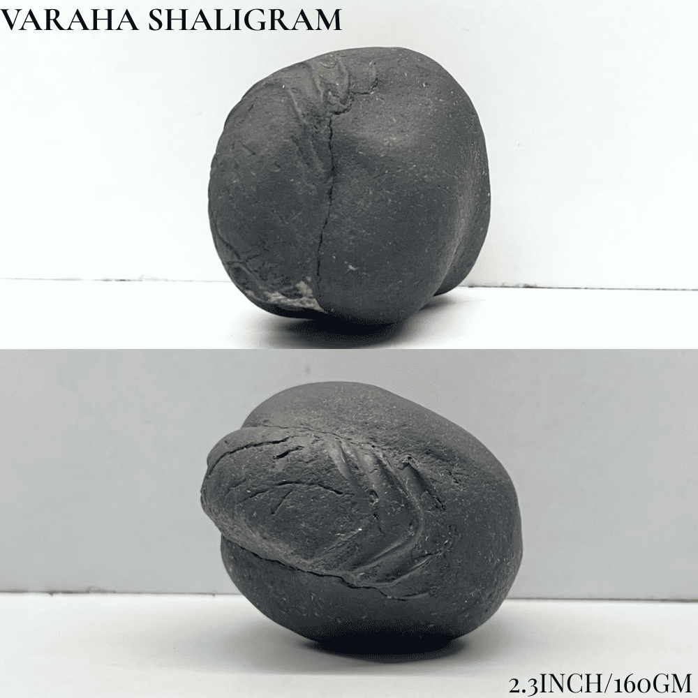 Dashavatar Shaligram Set-Medium Size