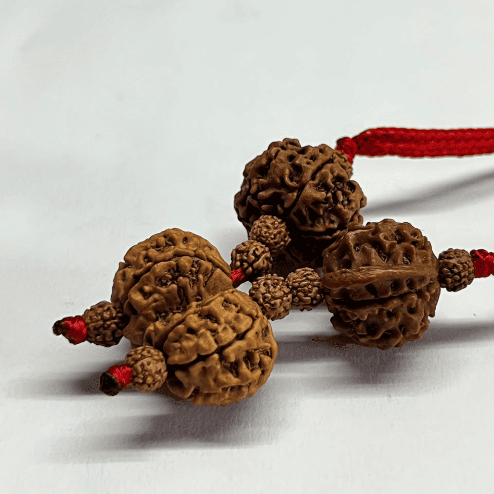 Shiv Parivar Kavach (6+Ganesh+Gaurishankar Rudraksha)