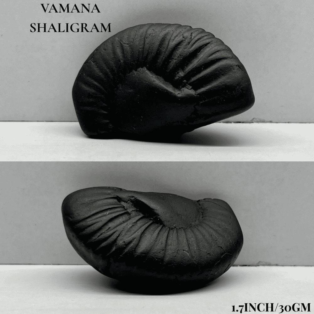 Dashavatar Shaligram Set-Small Size