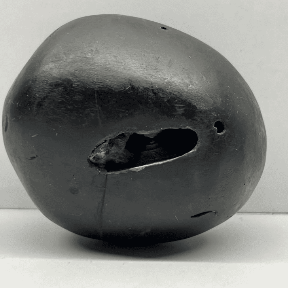 M12 Vaikuntha Janardana Shaligram (2.5inch/215gm)