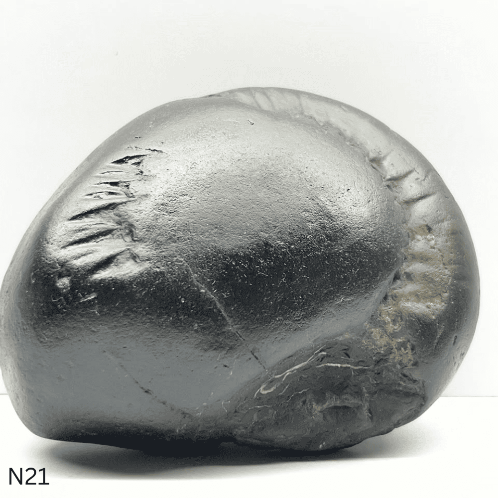 Narsimha Shaligram N21 (4inch/580gm)