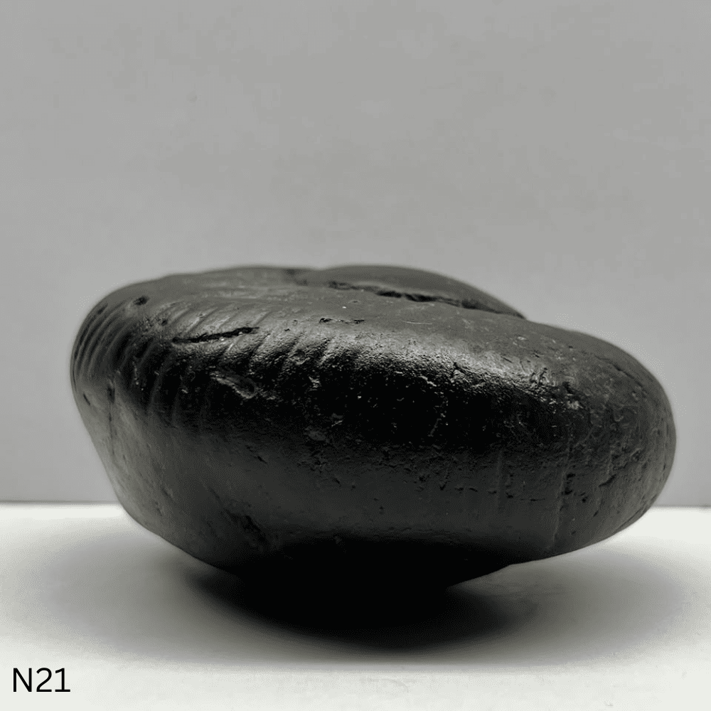 Narsimha Shaligram N21 (4inch/580gm)