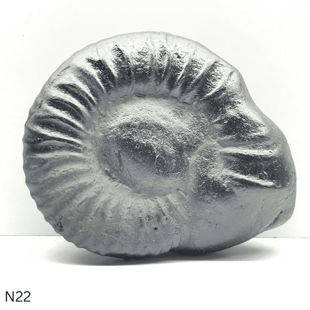 Narsimha Shaligram N22 (4inch/500gm)