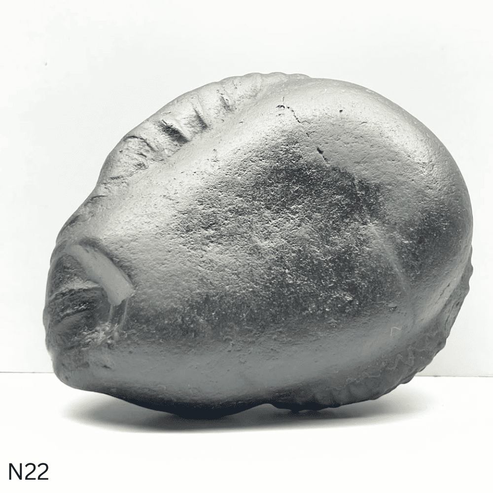 Narsimha Shaligram N22 (4inch/500gm)