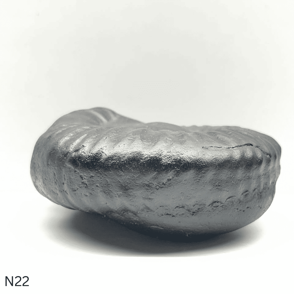 Narsimha Shaligram N22 (4inch/500gm)
