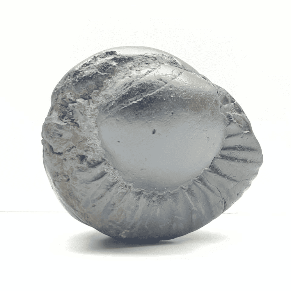 Medium Parshurama Shaligram (4inch/560gm)
