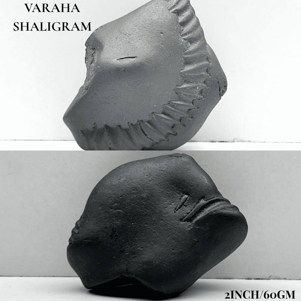 Dashavatar Shaligram Set-Small Size