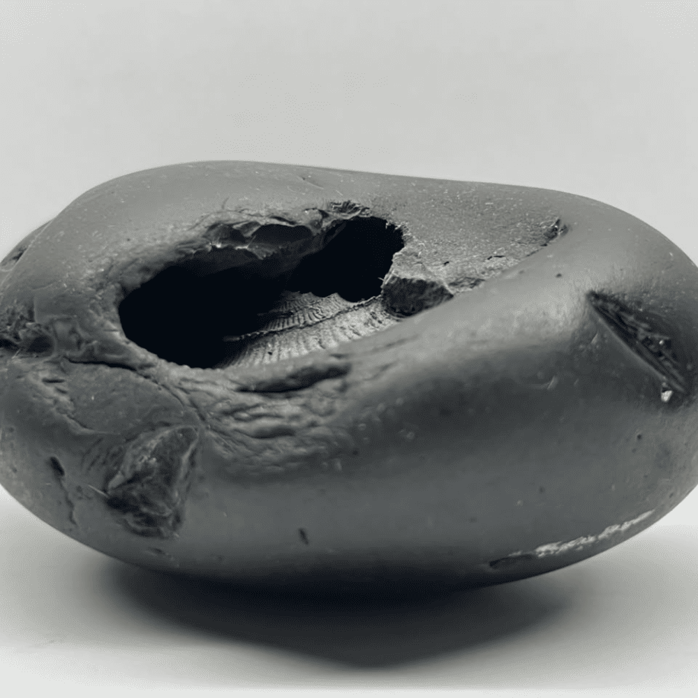 M13 DwiMukhi Hrishikesha Shaligram (4inch/535gm)