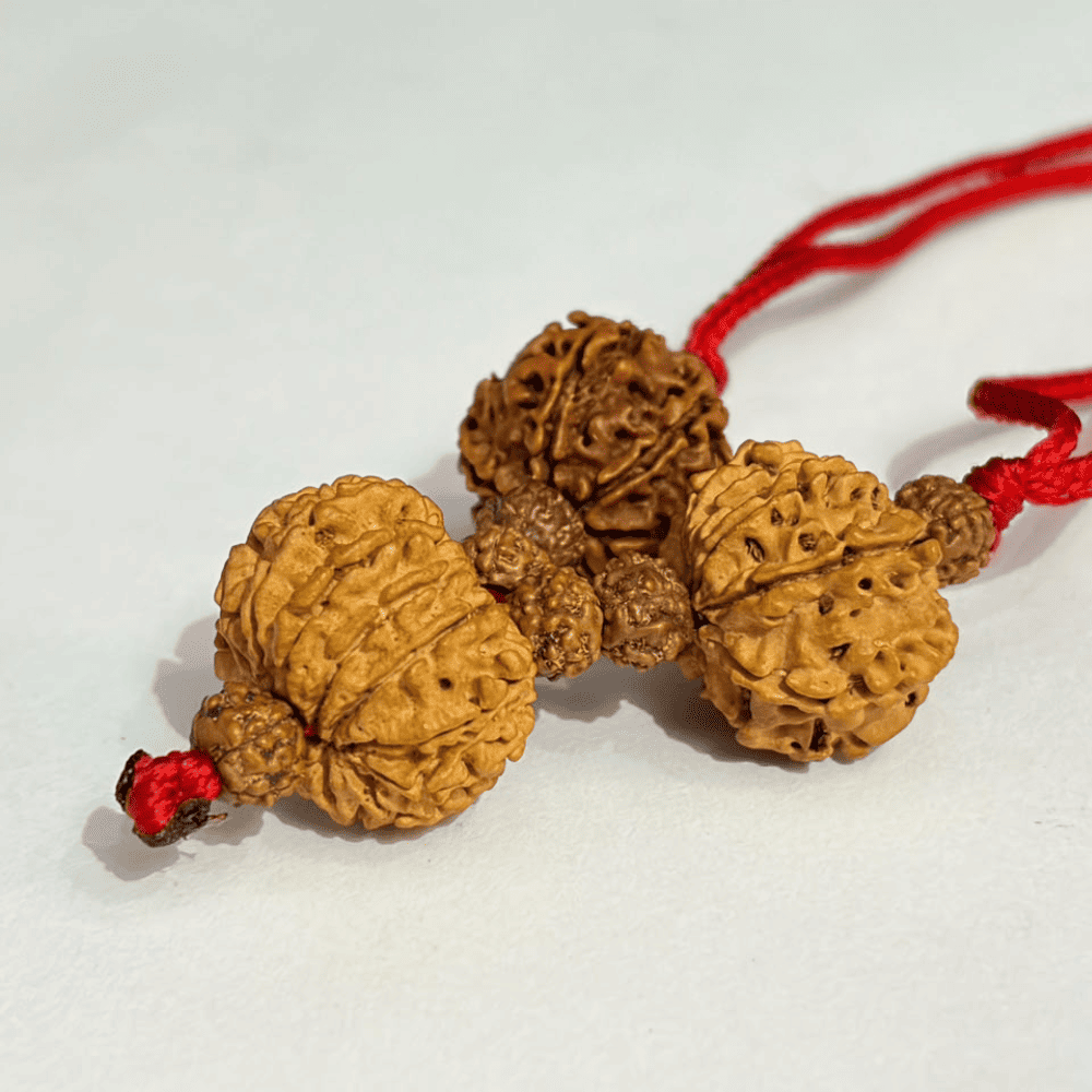 Confidence Improvement Kavach (7+9+12 Mukhi Rudraksha)