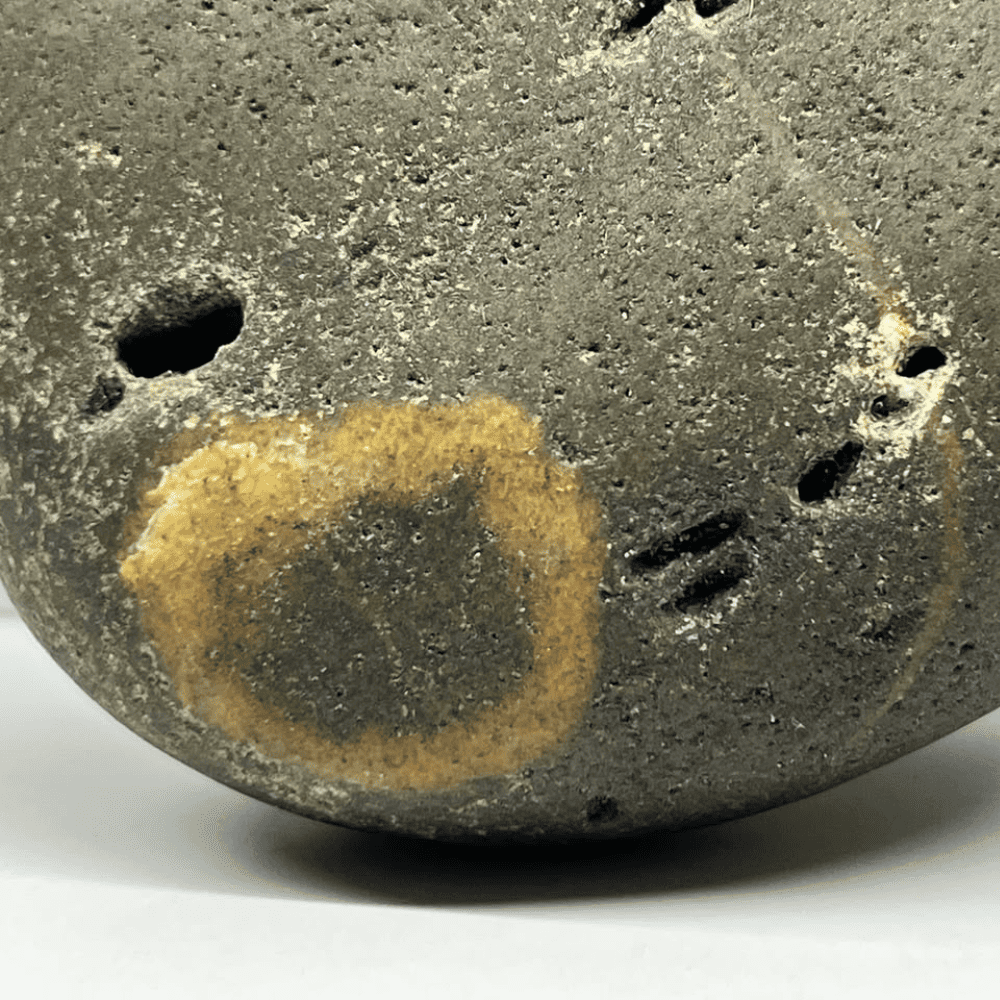 Janeudhaari Ananta Shaligram AN02(400gm/4inch)