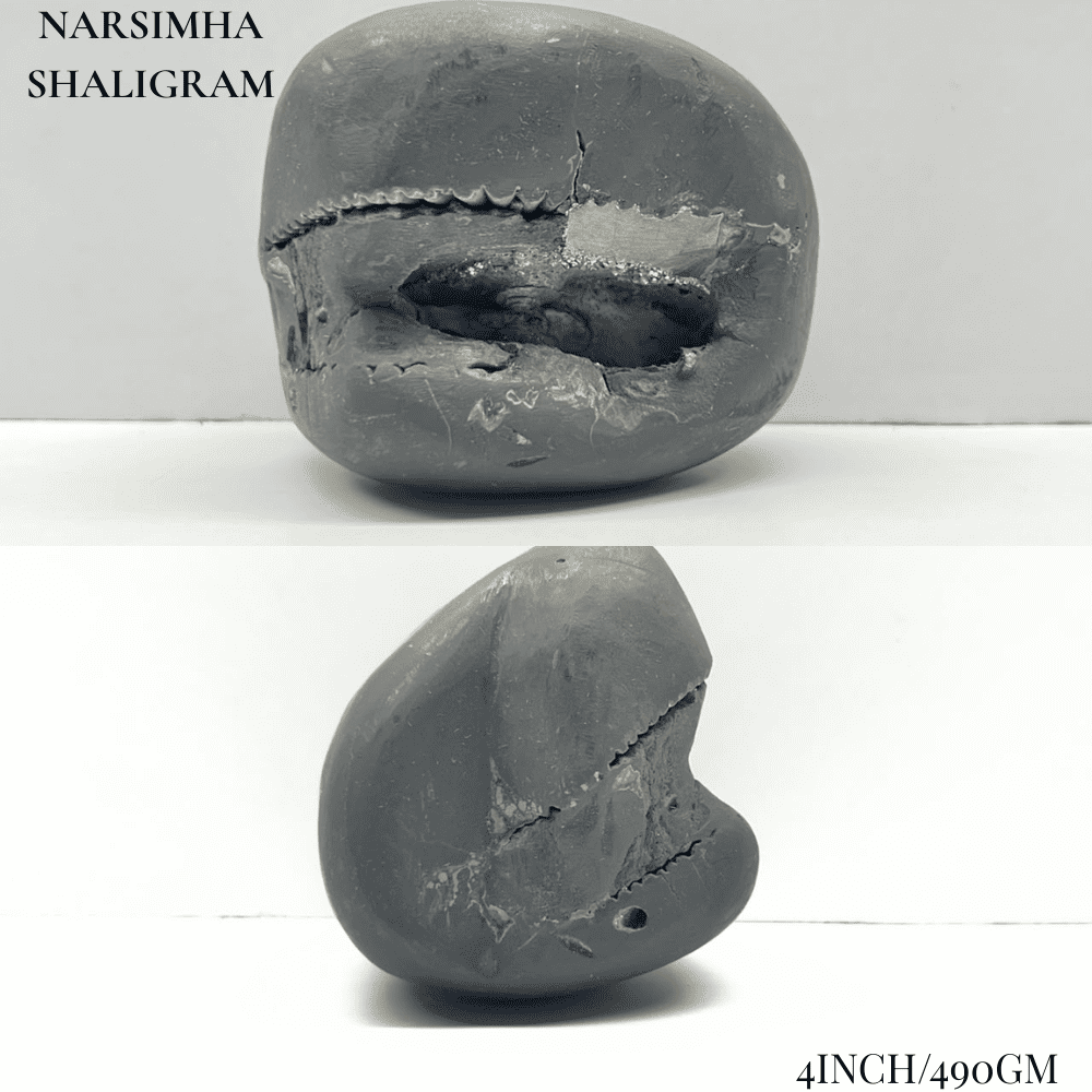 Dashavatar Shaligram Set-Big Size