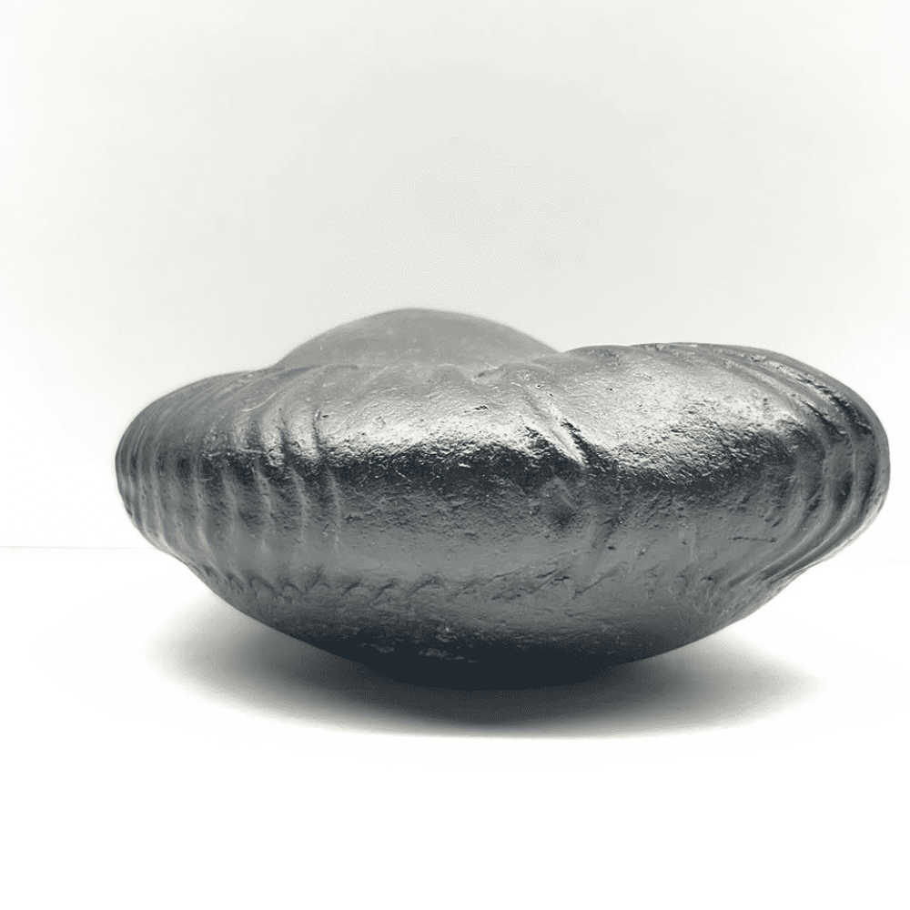 Medium Varaha Shaligram (380gm/3.5inch)