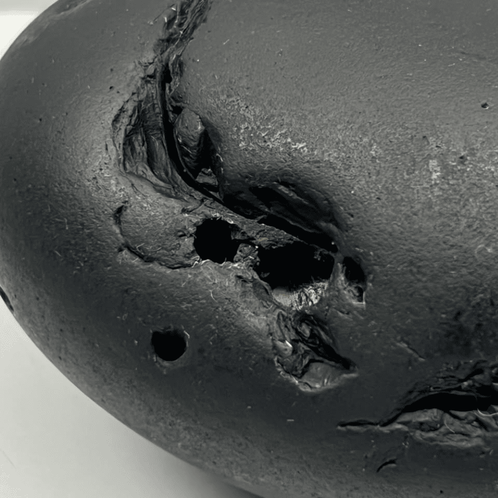 M13 DwiMukhi Hrishikesha Shaligram (4inch/535gm)