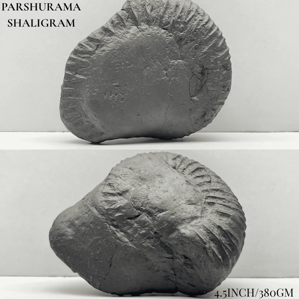 Dashavatar Shaligram Set-Big Size