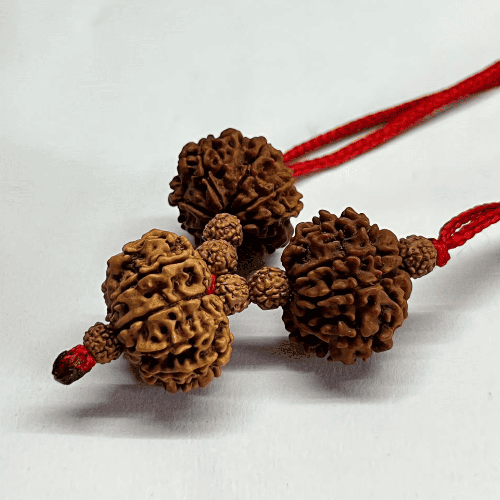 Kalsarp Yog Nivaran Kavach (8+9+10 Mukhi Rudraksha)