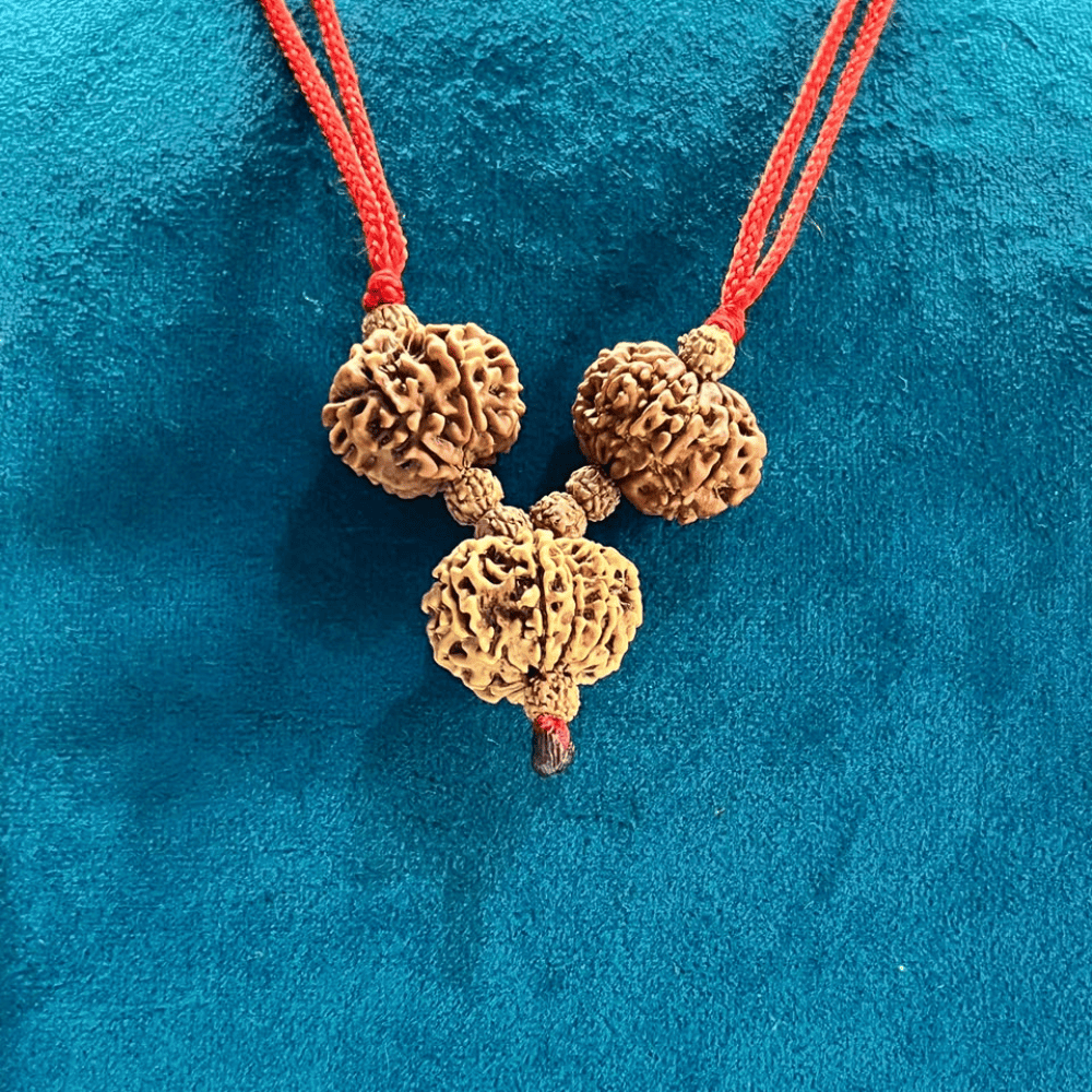 Kalsarp Yog Nivaran Kavach (8+9+10 Mukhi Rudraksha)