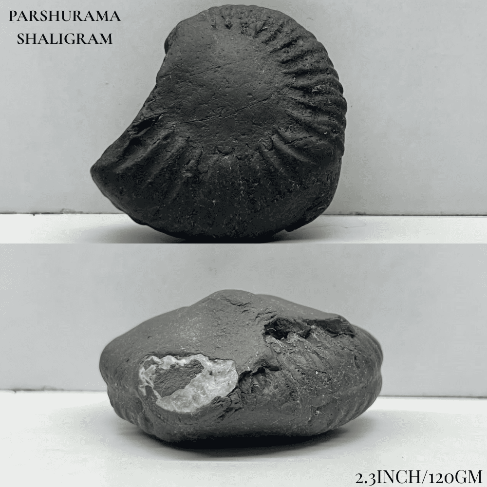 Dashavatar Shaligram Set-Medium Size