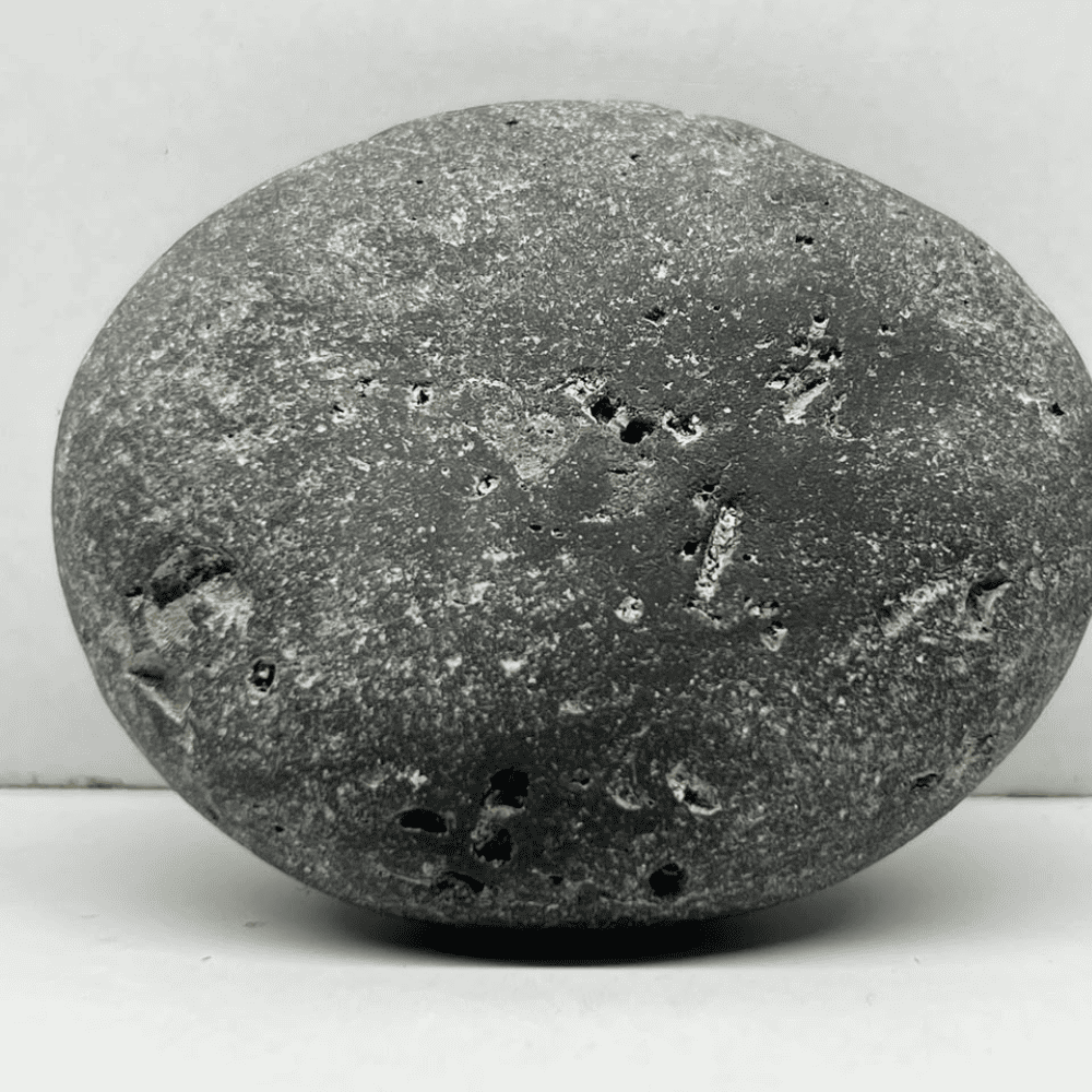 Ananta Shaligram AN03(130gm/2inch)