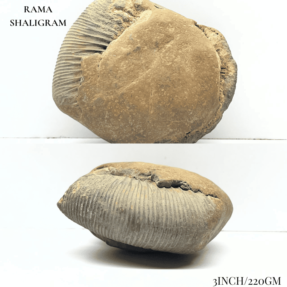 Dashavatar Shaligram Set-Medium Size