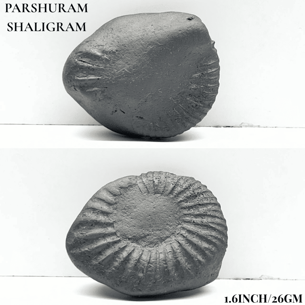 Dashavatar Shaligram Set-Small Size