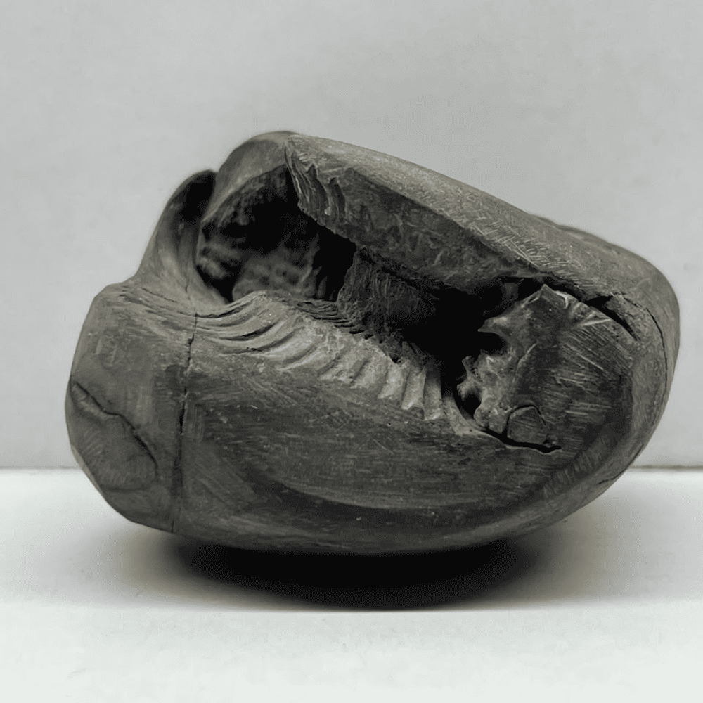 Varaha Laxmi Shaligram LN120(2.5inch/135gm)