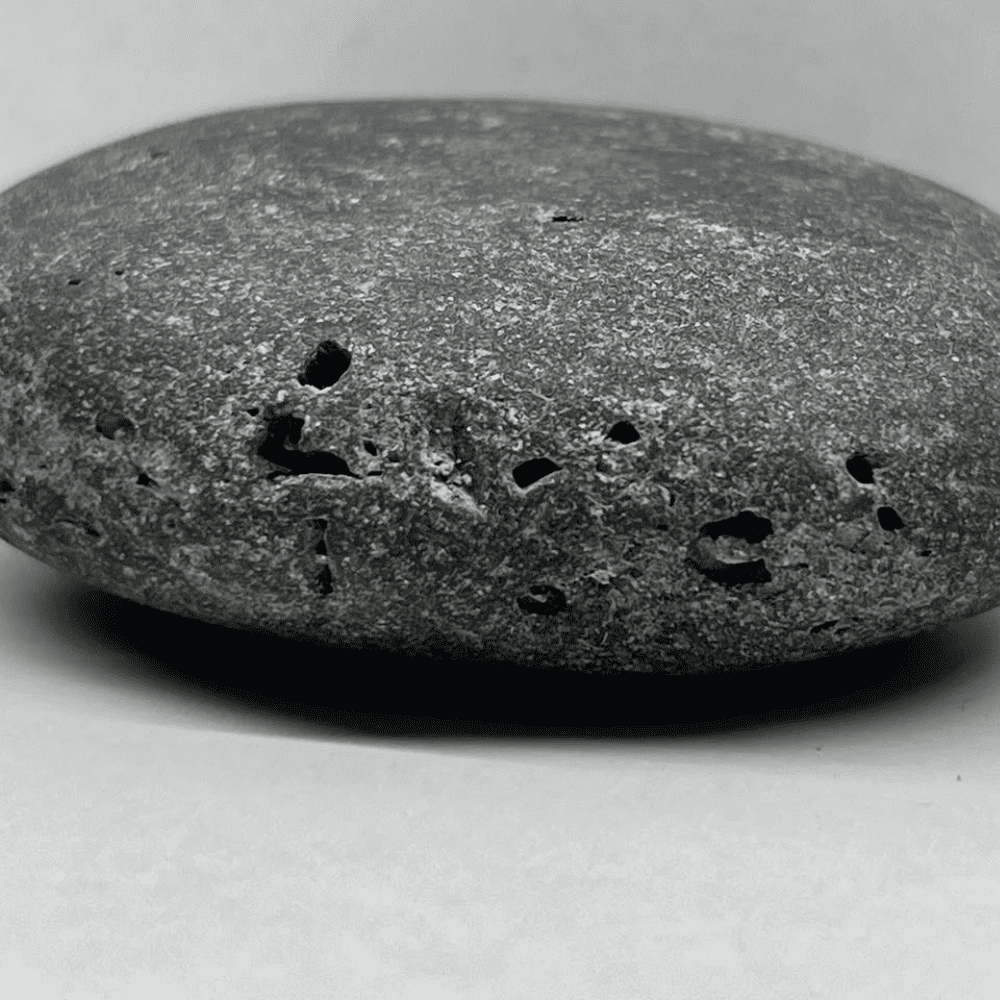 Ananta Shaligram AN03(130gm/2inch)