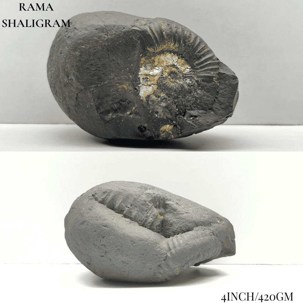 Dashavatar Shaligram Set-Big Size