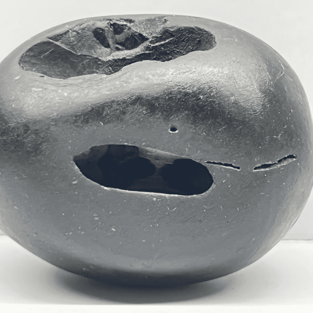 M17 Laxmi Janardana Shaligram 4Chakras (2inch/135gm)