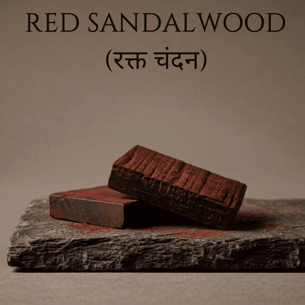 Red Sandalwood (Sapwood)
