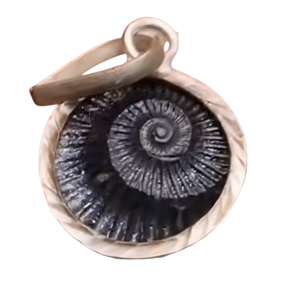 Sudarshan Shaligram Pendant (Silver Capped)